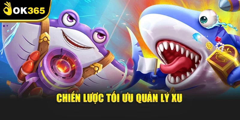 Chiến lược tối ưu quản lý xu