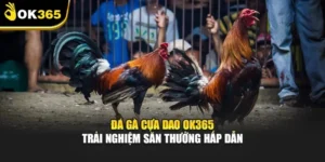 Đá Gà Cựa Dao Ok365 – Trải Nghiệm Săn Thưởng Hấp Dẫn