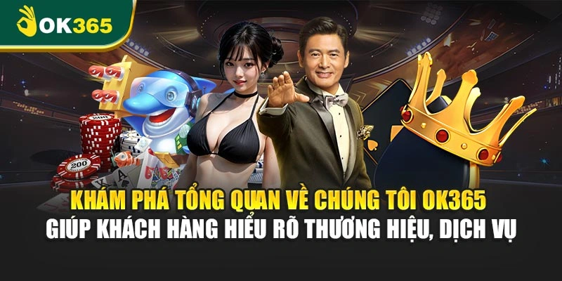 Khám phá tổng quan về chúng tôi OK365 giúp khách hàng hiểu rõ thương hiệu, dịch vụ