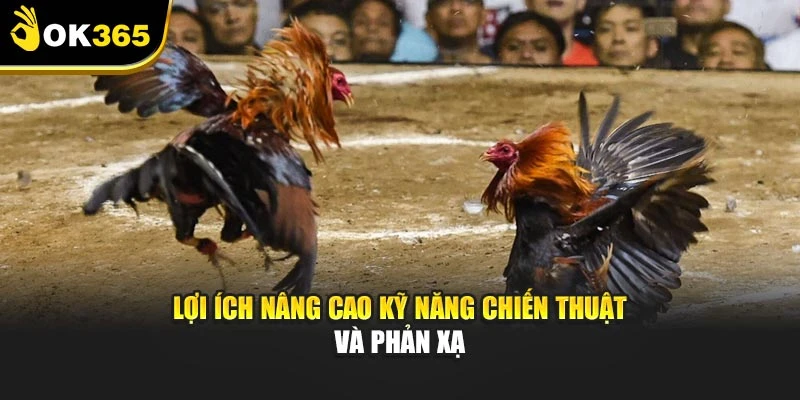 Lợi ích nâng cao kỹ năng chiến thuật và phản xạ