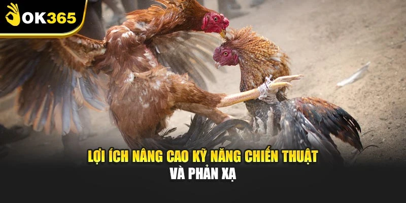 Lợi ích nâng cao kỹ năng chiến thuật và phản xạ
