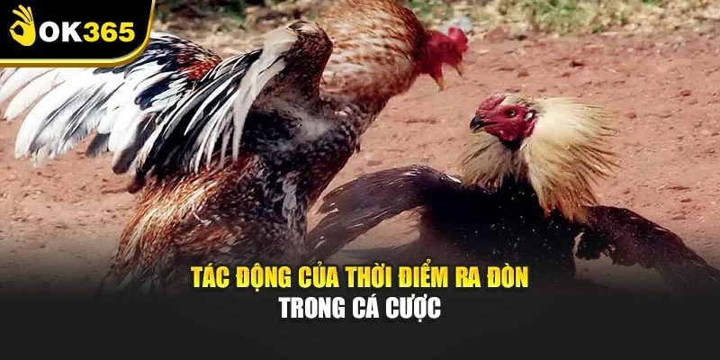 Tác động của thời điểm ra đòn trong cá cược